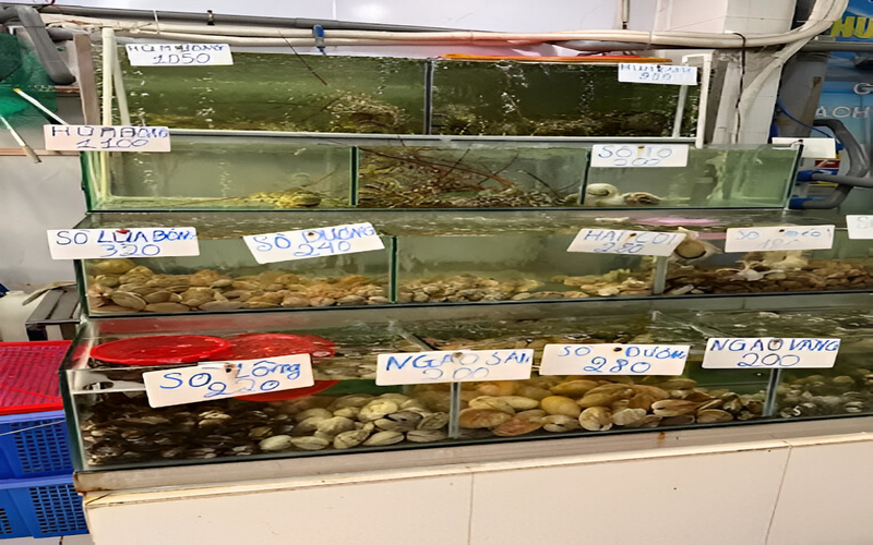Vựa Hải Sản Sạch Âu Cơ - Vựa Hải Sản Tân Phú